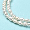 Natural Cultured Freshwater Pearl Beads Strands PEAR-E016-124-4
