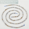 Olycraft 2 Strands Natural Labradorite Beads Strands G-OC0004-46-4
