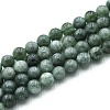 Natural Quartz Beads Strands G-N355-10mm-05-1