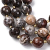 Natural Petrified Wood Beads Strands G-C249-A24-16MM-4
