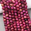 Grade B Natural Tiger Eye Beads Strands G-F591-18-8mm-05-01-7