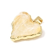 Brass Resin Pendants KK-A296-53A-G01-2