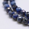 Faceted Natural Fire Crackle Agate Beads Strands X-G-F447-4mm-A19-3