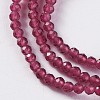 Glass Beads Strands EGLA-E057-02B-20-3