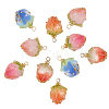 Handmade Dried Flower Pendants KY-SC0001-34-1