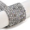 Faceted Round Natural Labradorite Bead Strands G-I156-03-3mm-1