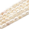 Natural Cultured Freshwater Pearl Beads Strands PEAR-I007-01J-02A-2