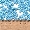Baking Paint Glass Seed Beads SEED-K009-01A-06-4