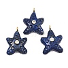 Dyed Natural Lapis Lazuli Pendants G-H353-01G-05-1