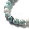Natural Magnesite Beads Strands G-L555-02B-02-3