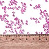 8/0 Transparent Glass Seed Beads SEED-F003-03B-06-4