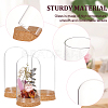 Glass Dome Cover AJEW-WH0165-40B-4