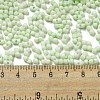Macaron Color Opaque Frosted Glass Seed Beads SEED-K009-12B-06-4