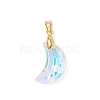 AB Color Plated Glass Pendants PALLOY-JF04595-01-3