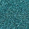 MIYUKI Delica Beads X-SEED-J020-DB2380-3