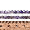 AB Color Plated Natural Amethyst Beads Strands G-T144-B07-04-4