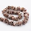 Natural Shell Bead Strands BSHE-P010-07-2
