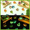 Luminous Resin Frog Micro Landscape Scene Ornaments DIY-YWC0009-03A-4