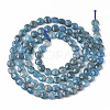 Natural Apatite Beads Strands G-S362-011-2