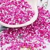 Baking Paint Glass Seed Beads X-SEED-S042-05B-47-1