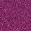 TOHO Round Seed Beads SEED-JPTR15-2107-2