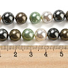 Polished Shell Pearl Bead Strands BSHE-F013-07D-4