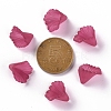Frosted Acrylic Bead Caps MACR-S371-10A-706-4
