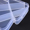 10 Grids Transparent Plastic Box CON-B009-07-5