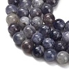Natural Iolite Beads Strands G-G300-A04-8mm-4