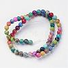 Natural Imperial Jasper Beads Strands G-I122-12mm-14-2