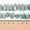 Natural Amazonite Beads Strands X-G-P619-A04-01-5