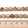 Natural Petrified Wood Beads Strands G-L642-F09-8mm-5