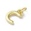 Rack Plating Brass Charms KK-P245-06G-C-2