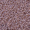 MIYUKI Round Rocailles Beads SEED-G007-RR0579-3