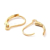 304 Stainless Steel Leverback Earring Findings LS-STAS-K233-04G-3