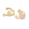 Alloy Glass Pendants FIND-K030-15G-2