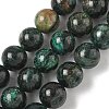 Natural Fuchsite Beads Strands G-G271-B03-10mm-2