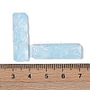 Baking Paint Glass Pendants GLAA-S202-16H-2
