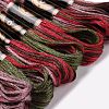 10 Skeins 6-Ply Polyester Embroidery Floss OCOR-K006-A17-2