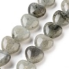 Natural Labradorite Beads Strands G-B022-32C-2