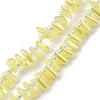 Electroplate Glass Beads Strands EGLA-S176-05A-B13-1