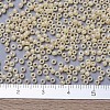 MIYUKI Round Rocailles Beads X-SEED-G007-RR0487-4