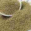 MIYUKI Round Rocailles Beads SEED-X0056-RR2250-1