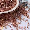 Glass Seed Beads SEED-S042-13A-17-1