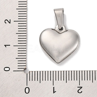 304 Stainless Steel Pendants STAS-P278-01M-P-1-1