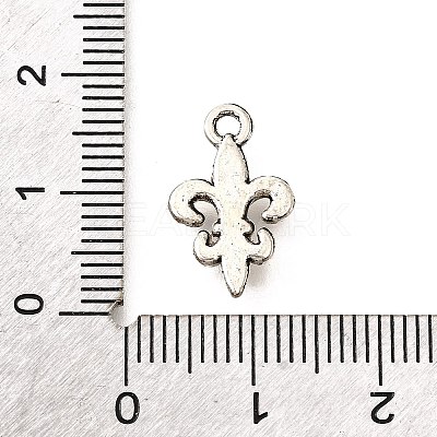 Tibetan Style Alloy Pendants TIBE-L008-15AS-1