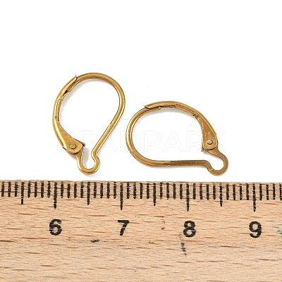 Ion Plating(IP) 304 Stainless Steel Leverback Earring Findings STAS-K233-04G-01A-1