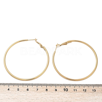 201 Stainless Steel Hoop Earrings LS-EJEW-F188-24G-C-1