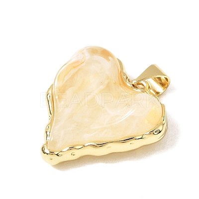 Brass Resin Pendants KK-A296-53A-G01-1