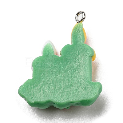 Opaque Resin Pendants CRES-D010-01G-1